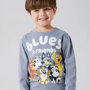 CAMISETA NIÑO «BLUEY & FRIENDS», GRIS